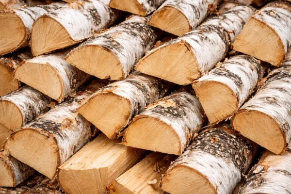 Björkved i container – med hemleverans